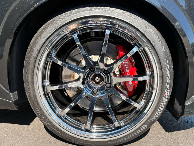 RAYS��19�C���`�A���~�z�C�[���𗚂����āA�����̃h���X�A�b�v�������ł���