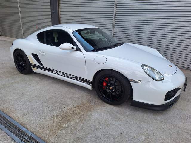 �P�C�}��(�|���V�F) S �e�B�v�g���j�b�N ���Îԉ摜