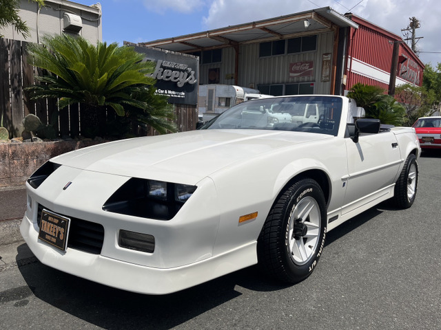 �J�}���R���o�[�`�u��(�V�{���[) �f�B�[���[�� ���Îԉ摜