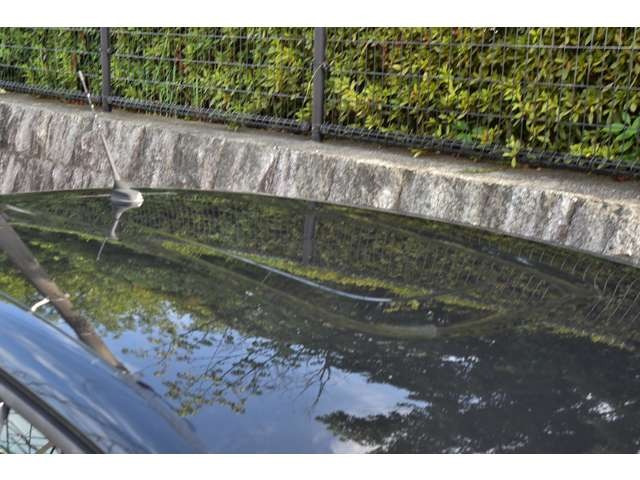 �y�e��ی��Ή��v���܂��z�C�ӕی��̉����A����ւ������Ђɂď���܂��A�����ς�����˗���������(�O��Z�F�C��E���ۃW���p���㗝)