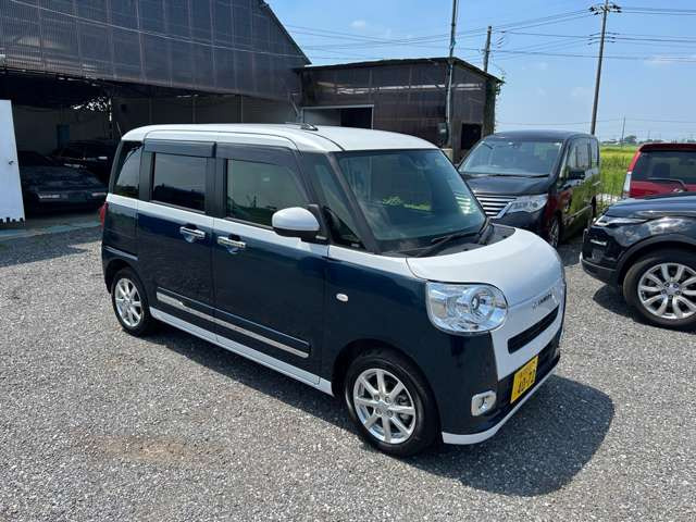 ムーヴキャンバスストライプス G