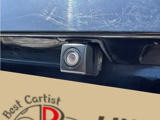 �h�����R��������Ă���܂��̂ł������̎����S!!