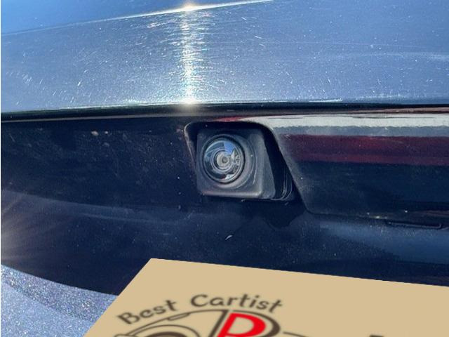 �o�b�N�J�����������Ă���܂��̂Œ��Ԃ����ȕ������S!