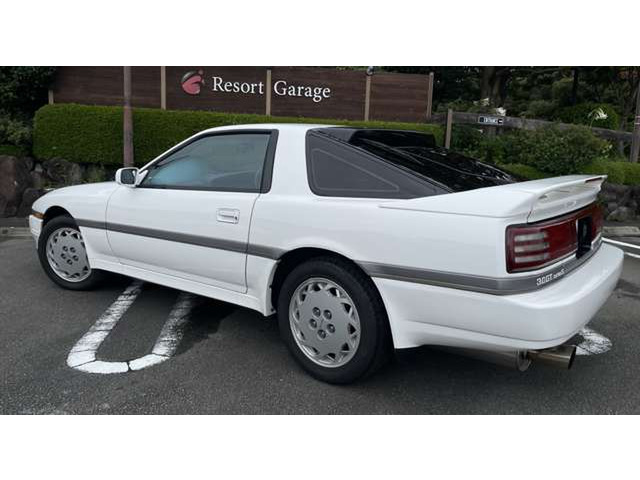 ���[�t�X�|�C���[�̓I�v�V����