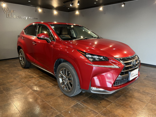 NX200t Iパッケージ