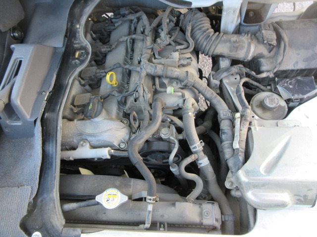 ���G���W���@�֗ǍD�ł���