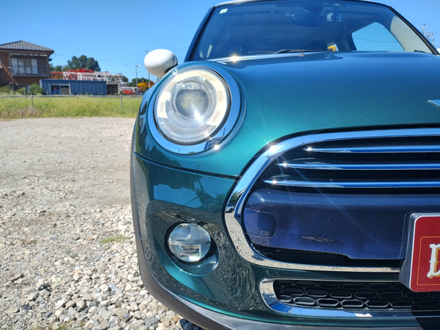 �f�B���C�g��������Ă���܂�!