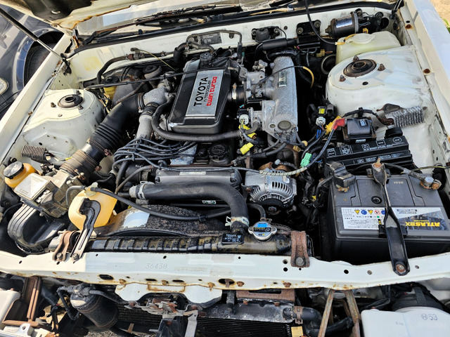 �e���T�r�w�R�~�o�N�� �����T�r�R�X���o�N�򉻗L �^�C�����L �T�C�h���[���� �g�����N�T�r�򉻗L ��N�������� ����̔��̂� ���O�o�^�����\ �I�[�g���[��120�񓪋���������\�ł����摗�M�\