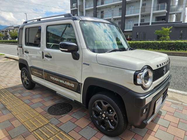 オフロードスタイルサイドデカール(オプション付)