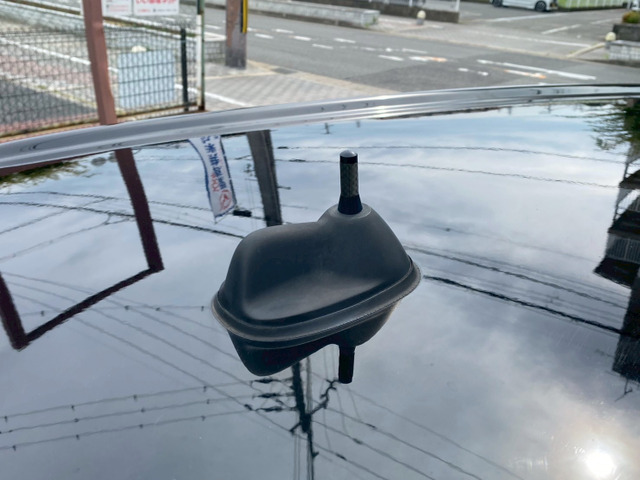 �ЊO�i�w���J���A���e�i�t����