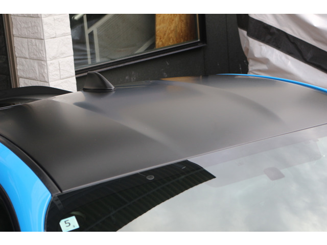 �����[�t���u���b�N�J���[!�ԗ��S�̓��ꊴ�����肩�����悭�d�オ���Ă���܂�!