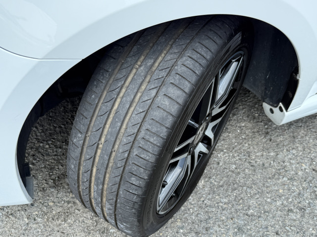 �^�C���̍a���������܂��̂ŁA���[�Ԍ�����S���Ă���蒸���܂��B