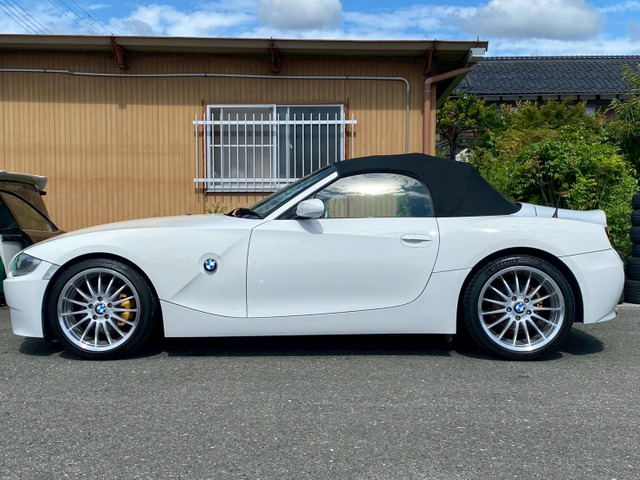 �������X�^�C�����O��