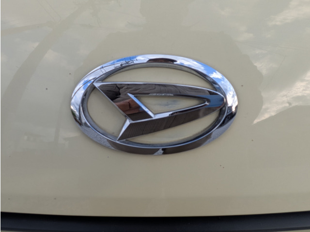 フロントエンブレム付近。飛び石とエンブレム中央の部分に塗装ハゲ。