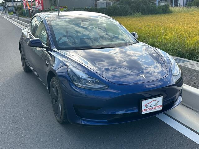 モデル3(テスラ) ZAA-3L13T 衝突被害軽減ブレーキ 中古車画像