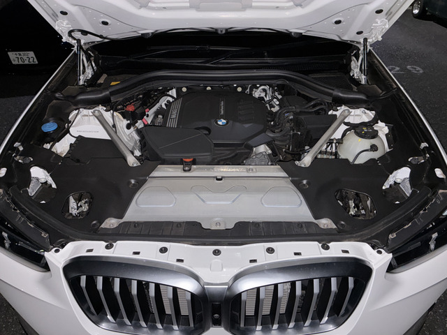 �f�B�[�[����!�͋��������炩�ɑ���܂�!