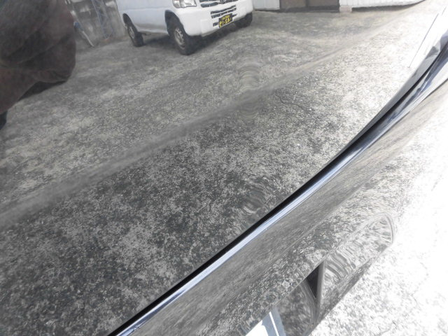 �E�o�b�N�h�A�ɉ��݂���܂��B