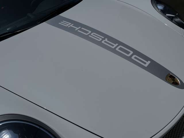 �Z���^�[�X�g���C�v