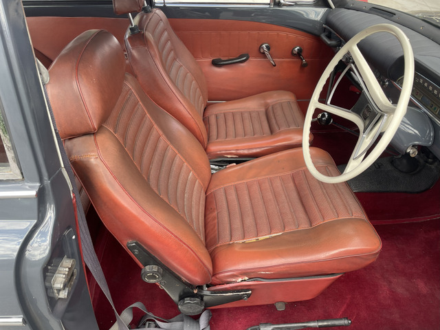 �^�]�ȃV�[�g�ɔj�ꂪ�L��܂��B