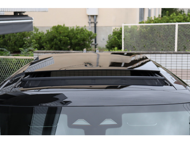 �p�m���~�b�N�X���C�f�B���O���[�t