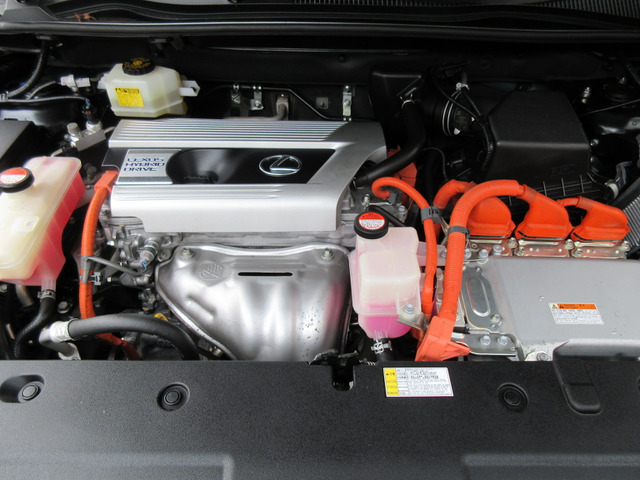 �������G���W��HV�ǍD�ł�!