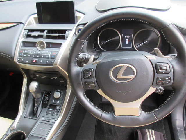 �Y��ł�!�X�e�A�����O�q�[�^�[�t��!