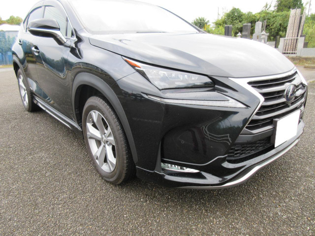 �I�[�g���[�������ł�!�����k��������!