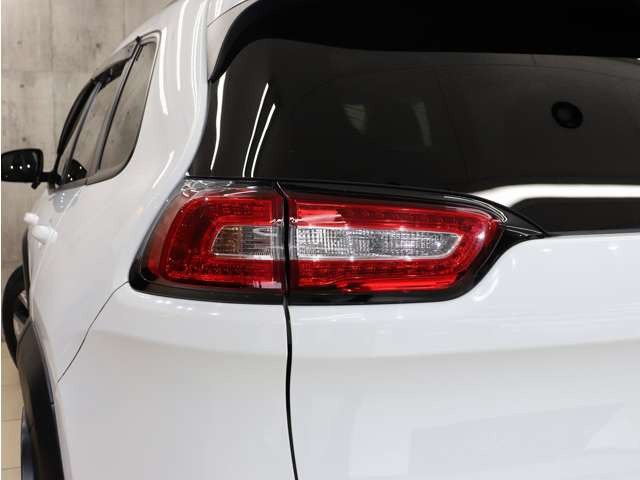 �e�[�������v�������傫�ȃL�Y�������A�����Y��ȏ�Ԃ�ۂ��Ă���܂��B�e�[���̃u���b�N�A�E�g�J�X�^����ЊO�e�[���ւ̃J�X�^�������C�y�ɂ����k���������B