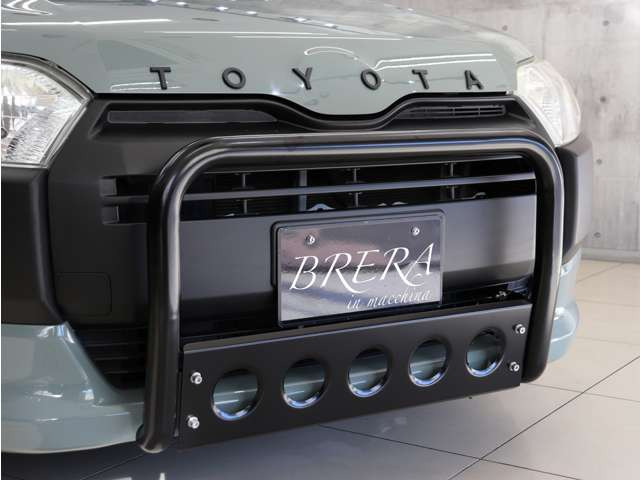 �V�i�t�����g�O�����K�[�h����������蔗�͂̂����ۂ̃t�����g�t�F�C�X�����o���Ă���܂��B