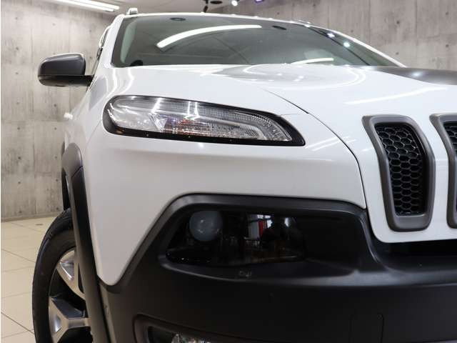 �w�b�h���C�g�����΂݂�܂蓙������σL���C�ȏ�Ԃ�ۂ��Ă���܂��B�C���i�[�u���b�N�y�C���g����t�@�C�o�[LED���C�g���H���A���C�y�ɂ����k���������B