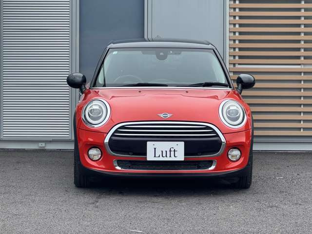 �{�f�B�J���[:�\�����X�I�����W!�j����킸�l�C�̍����J���[�ł�!