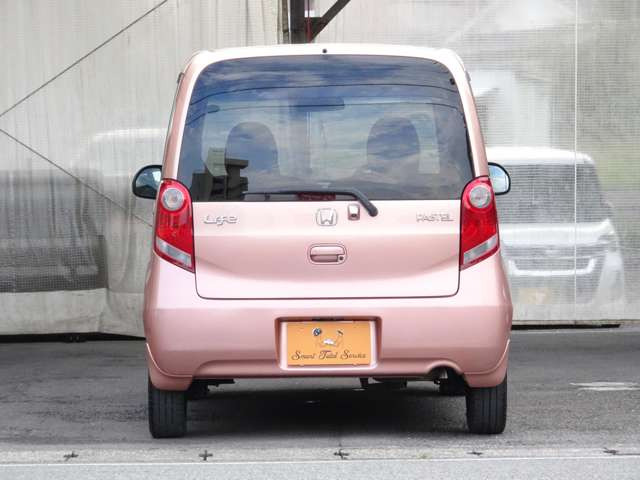 ライフパステル