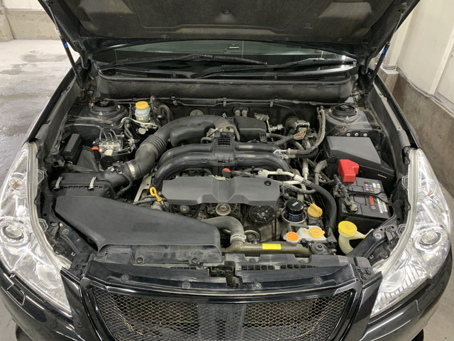 ����]�̂��Ԃ����q�l�ƈꏏ�ɂ��T�����邱�Ƃ��\�ł�!�܂��͂���]�������������������B