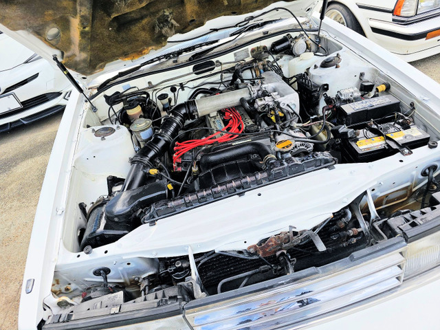 ���Ԃ̏펯��Ɖu���Ȃ����N���[�}�[�Ȃ����������������� ����̔��̂� ���O�o�^�������} �I�[�g���[��120�񓪋���������\�ł����摗�M�\