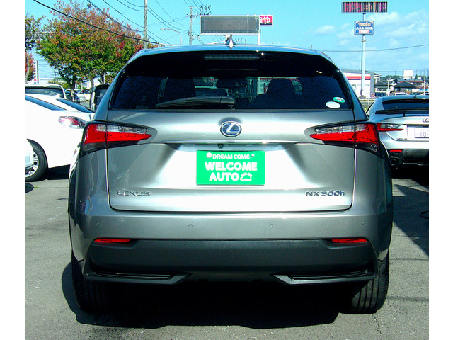 ������4��������!�傫�ȗ΂̊Ŕ��ڈ�!���А����H�ꊮ��!���E�h�����ł��܂���