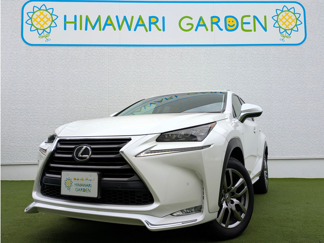 NX200t Iパッケージ 4WD