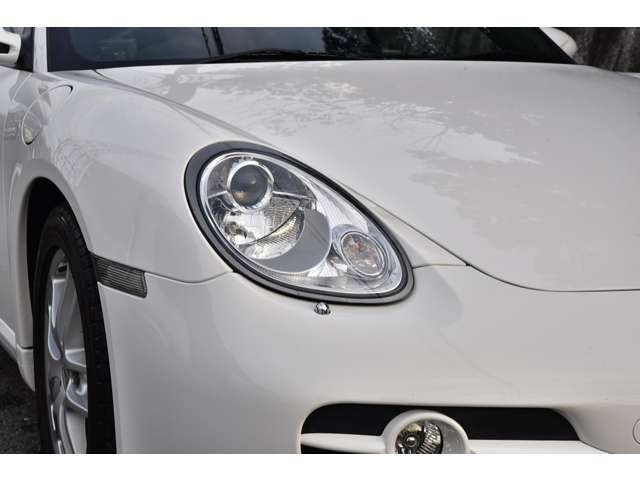 �y���ДF�ؐ����H��ۗL�z�ߋE���^�x�ǔF�ؐ����H��(��1591)�����ЂɂĊ����v���Ă���܂��A�܂��A�A���ԏn�������m�����q�l�̂��Ԃ𒷔N�̌o�������ɁA�^�S�������Đ����_�����s���܂��B