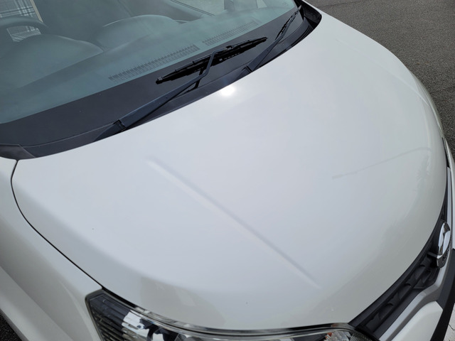 �p�[���z���C�g�h���͓���������ƃL���L���ƋP���n�߂܂�(^^)/