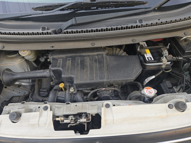 �R��̗ǂ�Ek���S���ł��B(�x�����z13.8���~�E�����Ɍ���)