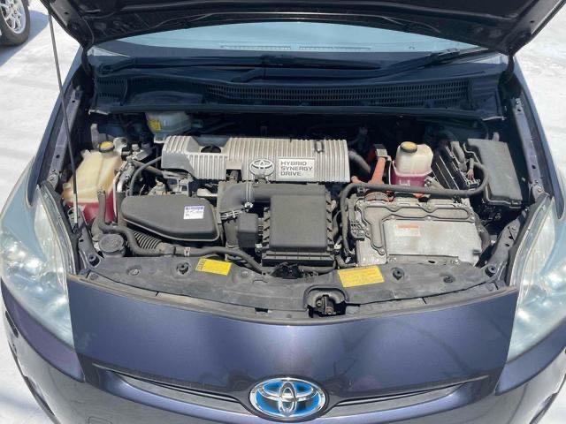 �n���E�����オ��Ƃ��ɗǍD�B�@�փR���f�B�V�����ǍD�ł��B