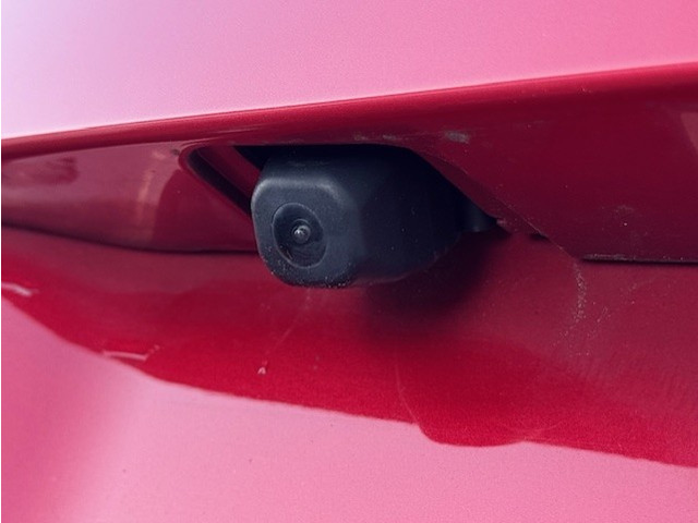 �o�b�N�J�����������Ă���܂��̂Œ��Ԃ����ȕ������S!