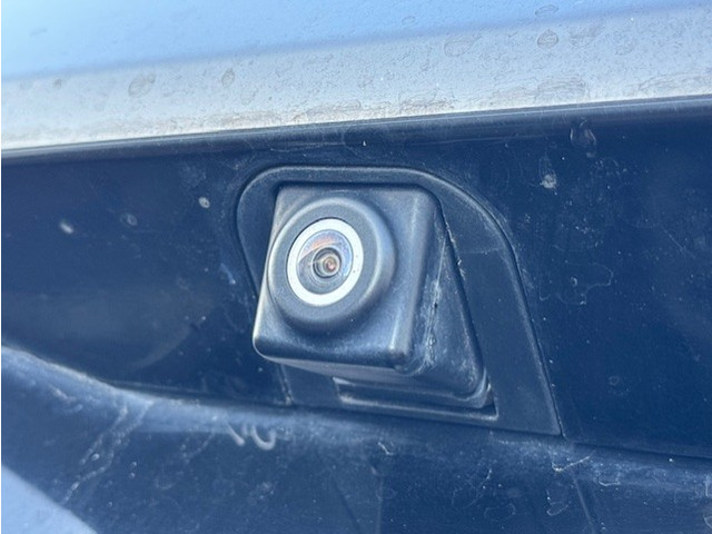 �o�b�N�J�����������Ă���܂��̂Œ��Ԃ����ȕ������S!