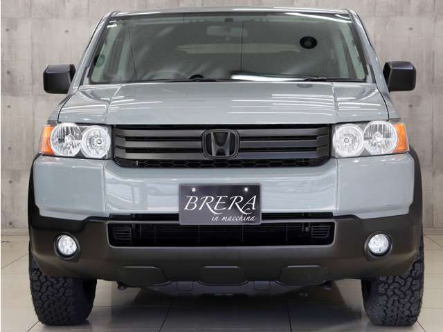 �t�����g�r���[�̓A�����B���O���[�J���[�ƃ}�b�g�u���b�N�œh�蕪���A�I�V�����ȃt�����g�r���[�Ɏd�オ���Ă���܂��B