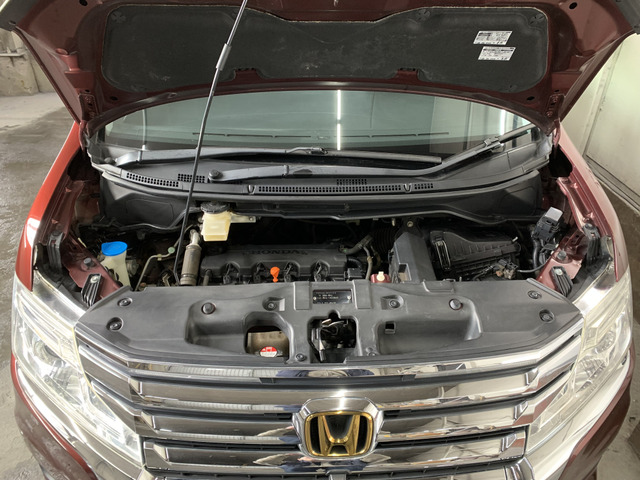 ����]�̂��Ԃ����q�l�ƈꏏ�ɂ��T�����邱�Ƃ��\�ł�!�܂��͂���]�������������������B