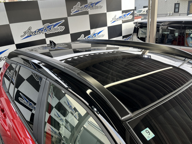 ���[�J�[�I�v�V���� �p�m���}���[�t�t����