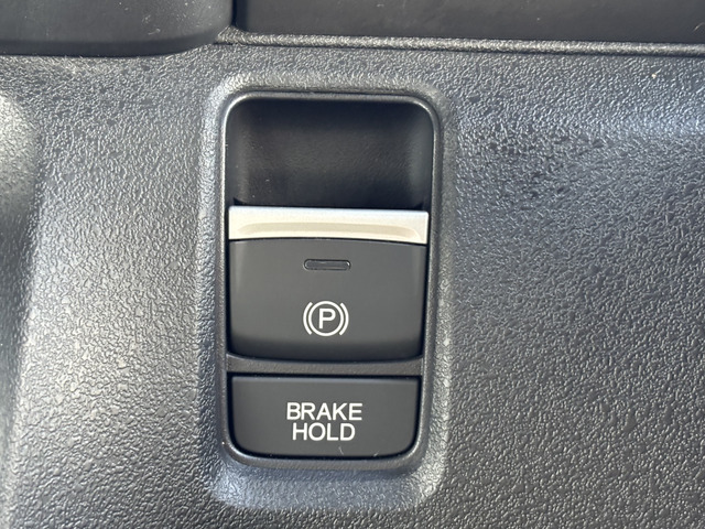 �d�q�p�[�L���O�E�u���[�L�z�[���h