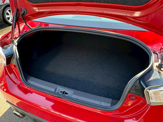 �y���Q�b�W���[���z �L�X�Ƃ������Q�b�W���[���̓��W���[�ɂ��劈��ł�!!