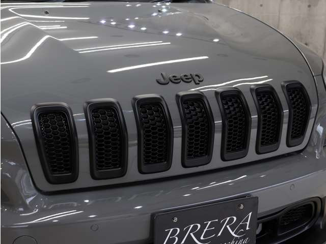 �t�����gJeep�G���u�����ƃO�������}�b�g�u���b�N�ɓh�蕪���y�C���g���Ă���܂��B