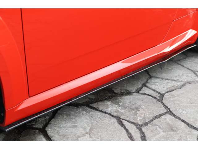 Nextinnovation�J�[�{���T�C�h�X�J�[�g��244,400