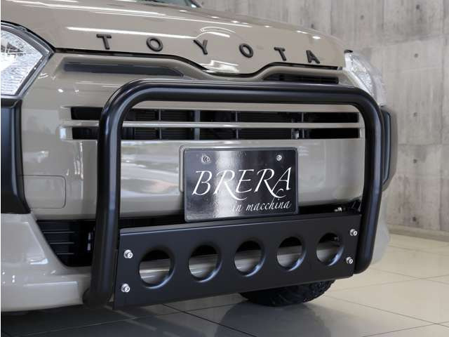 �V�i�t�����g�O�����o�[����������蔗�͂̂����ۂ̃t�����g�t�F�C�X�����o���Ă���܂��B